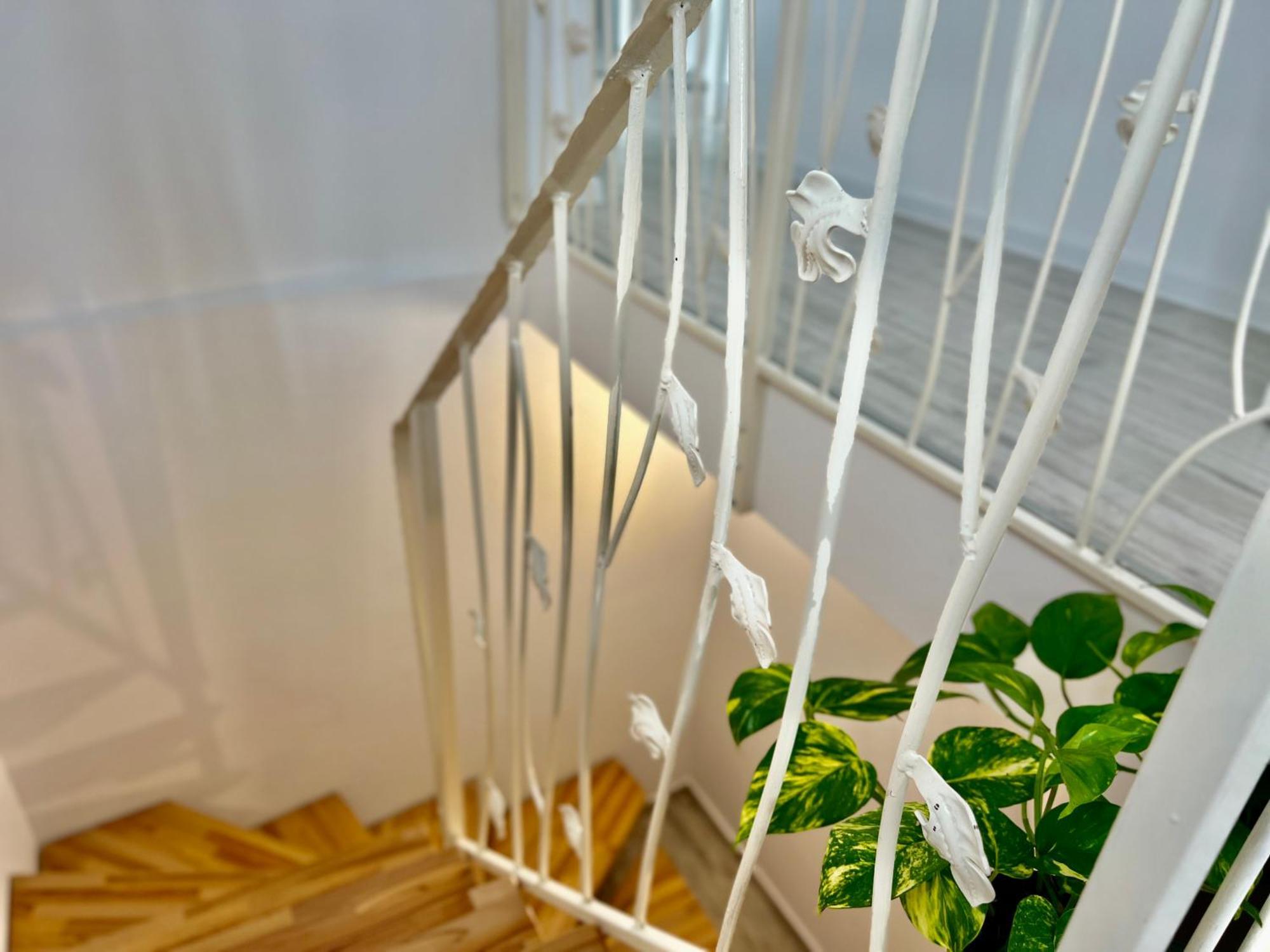 Blue Boho Boutique Villa براشوف المظهر الخارجي الصورة